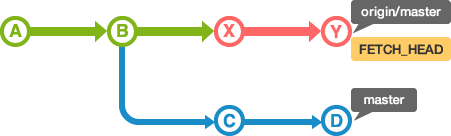 在本地端數據庫和遠端數據庫的origin，有從B的提交的狀態下執行fetch